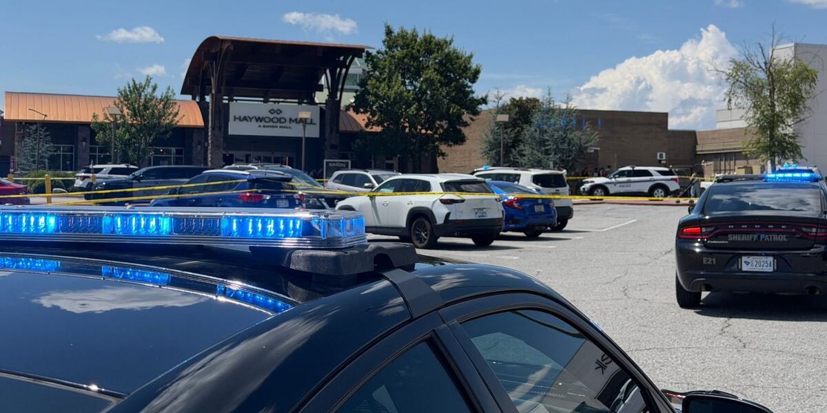 Dispute Erupts at Haywood Mall, Leaving Two Injured and Multiple Detained