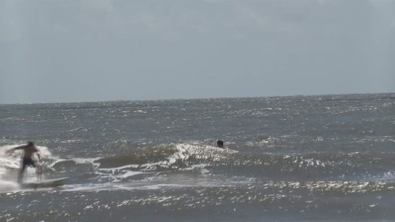 A water rescue on Sullivan’s Island Saturday evening left one swimmer hospitalized and...