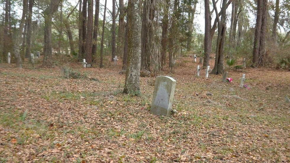 Part of the Scanlonville cemetery showing marked graves.