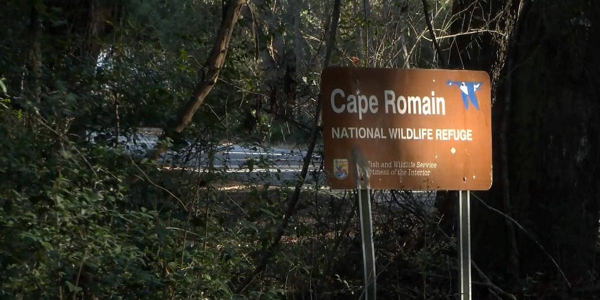 Environmental group, residents share concerns for potential Awendaw home build