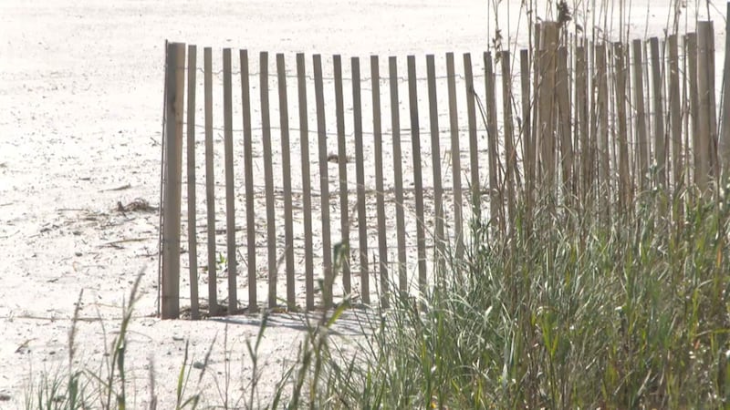 The Folly Beach Department of Public Safety said a man drowned and died on Easter despite the...