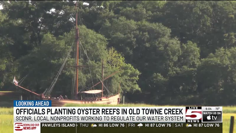 Environmental groups are turning to oyster reefs as a natural solution to protect and restore...