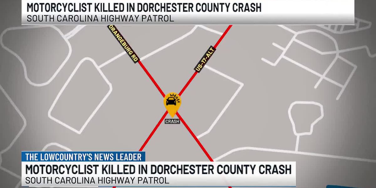 Coverage image for: VIDEO: Motorcyclist killed in Dorchester County crash